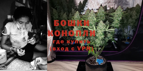 дживик Володарск