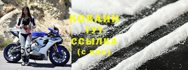 дживик Володарск