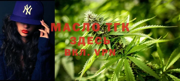 дживик Володарск
