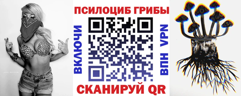 где можно купить   Елец  Псилоцибиновые грибы ЛСД 